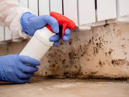 Best Industrial Mold Remediation  in St Lawrence, PA